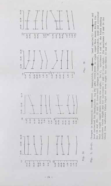 Lead Toxicity in Mute Swans