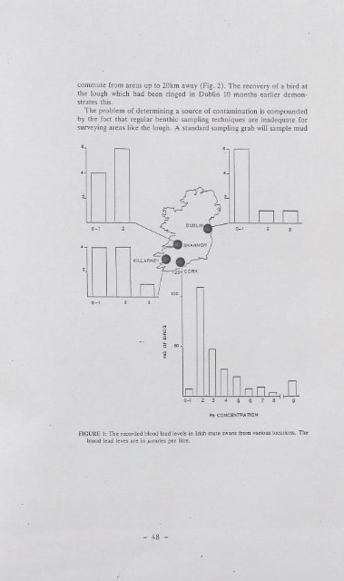 Lead Toxicity in Mute Swans