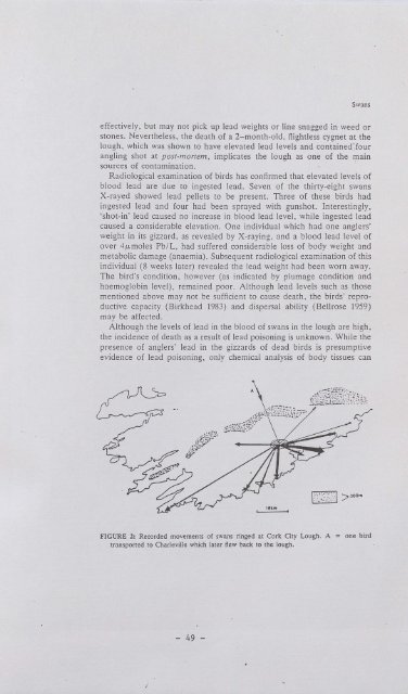 Lead Toxicity in Mute Swans