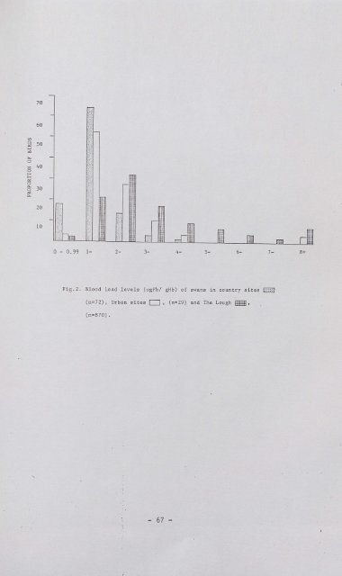 Lead Toxicity in Mute Swans