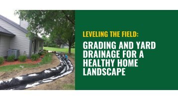 Leveling the Field: Grading and Yard Drainage for a Healthy Home Landscape