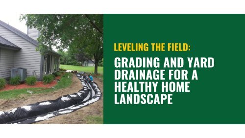 Leveling the Field: Grading and Yard Drainage for a Healthy Home Landscape