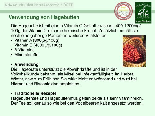 Mauritiushof Naturmagazin Ausgabe Oktober 2023