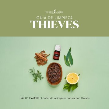 Guía de limpieza - Thieves