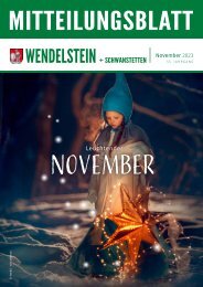 Mitteilungsblatt Wendelstein+Schwanstetten  - November23