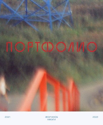 Портфолио.  Никита Молчанов