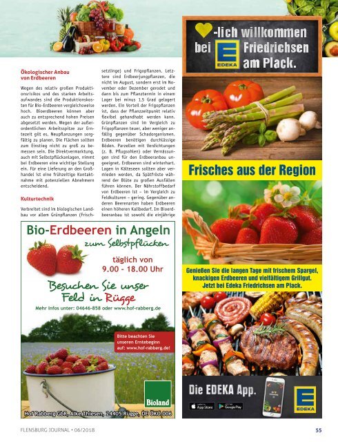 Flensburg Journal Ausgabe 189 - Juni 2018