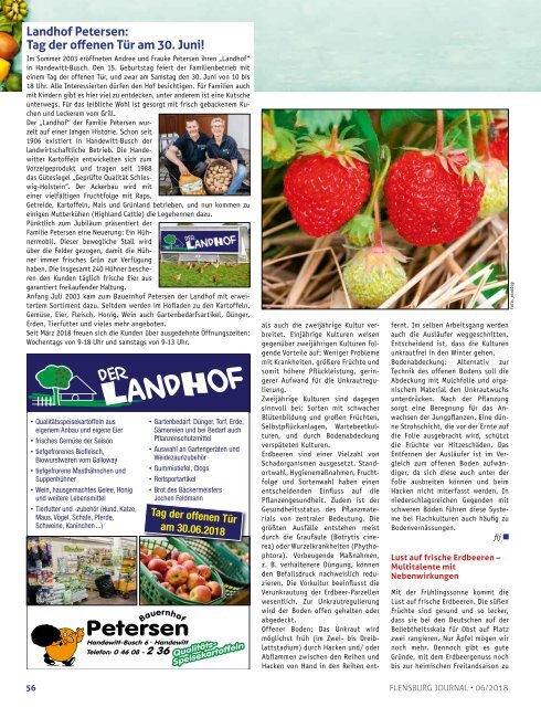 Flensburg Journal Ausgabe 189 - Juni 2018