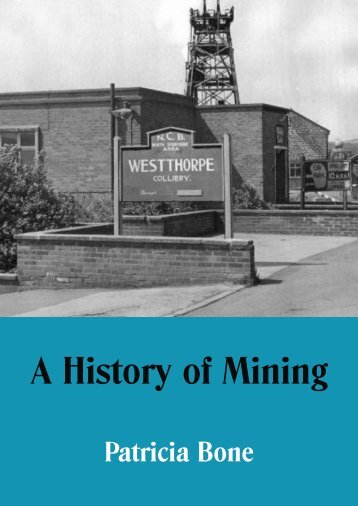 A History Of Mining by Patricia Bone