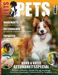 PETS 02/2023