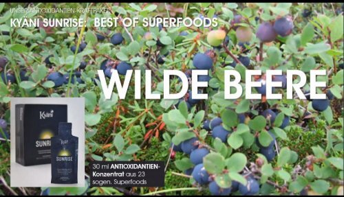 Blaubeeren! Welche Art ist die Gesündeste? Die Wilde Alaska Blaubeere! HIER bei uns!  Exclusiv bei Kyäni THüringen!