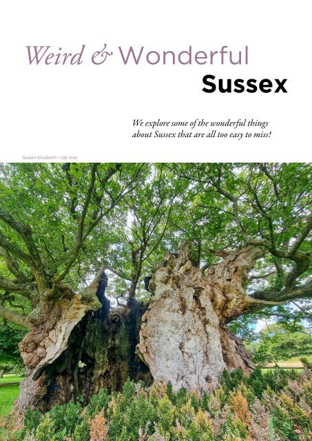 Sussex Exclusive Magazine Issue 6 2023 