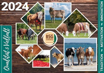 BSG Jahreskalender 2024