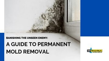 Banishing the Unseen Enemy: A Guide to Permanent Mold Removal