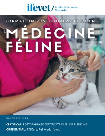 FR - Médecine féline post-universitaire