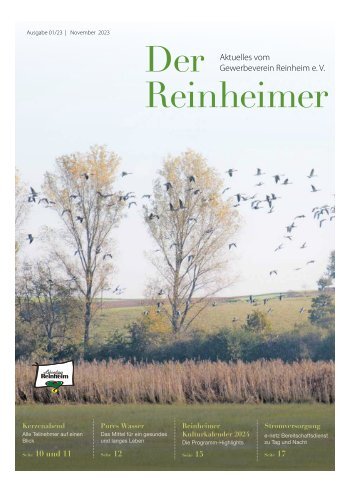 Der Reinheimer Web November 2023