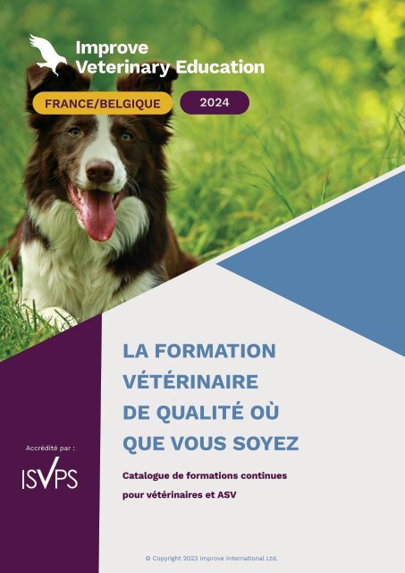 IVE_FR_NEW_Brochure_2024