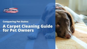 A Carpet Cleaning Guide for Pet Owners