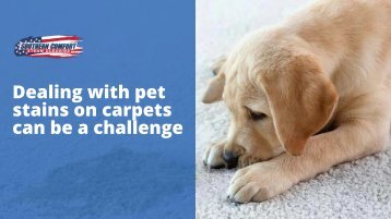 Dealing with pet stains on carpets can be a challenge