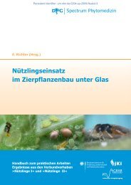 (HRSG.) Nützlingseinsatz im Zierpflanzenbau unter Glas - Die DPG