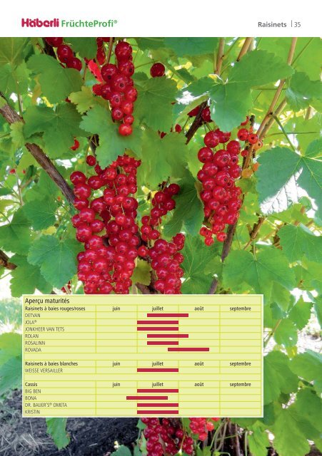 2024 FruechteProfi Schweiz FR