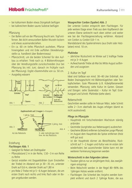 2024 FruechteProfi Schweiz DE