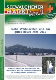 (3,07 MB) - .PDF - Marktgemeinde Seewalchen am Attersee