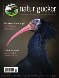 naturgucker Nr. 69