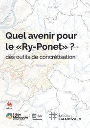 Ry-Ponet - Rapport phase 3 : Quel avenir pour le 