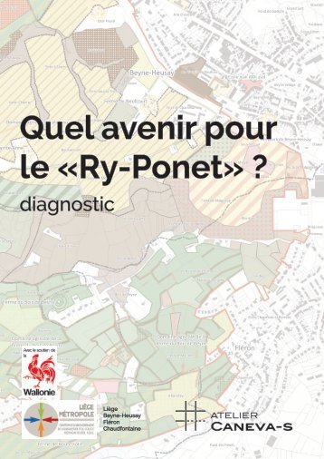 Ry-Ponet - rapport phase 1 : Quel avenir pour le "Ry-Ponet" ? Diagnostic