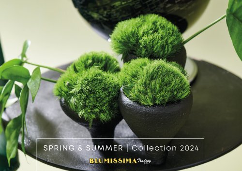 Blumissima - SPRING & SUMMER 2024