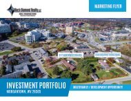 Chestnut Ridge Road [Investment] Portfolio Marketing Flyer