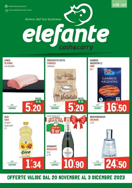 24 CASH Elefante_ALTA_compressed