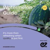 Watermelon guide 2024
