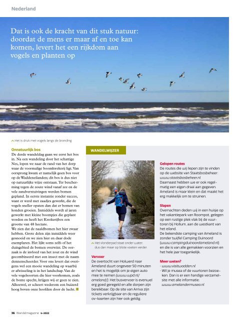 Wandelmagazine_04_2022