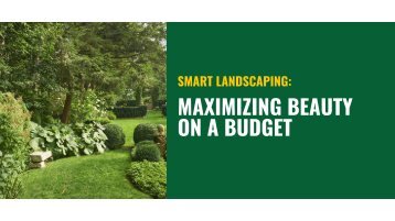 Smart Landscaping: Maximizing Beauty on a Budget