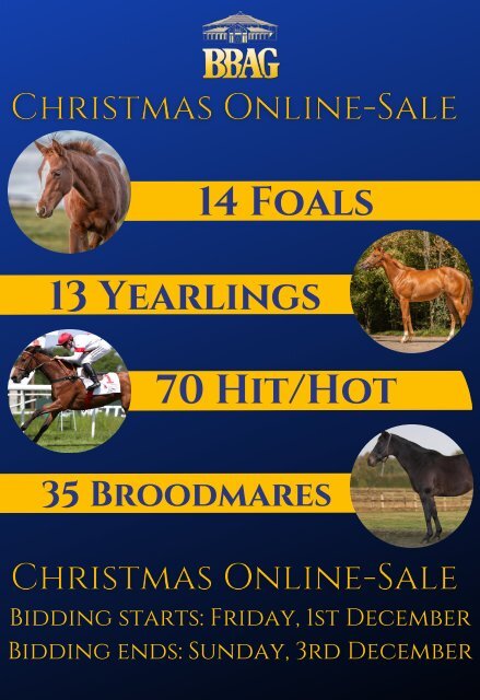 BBAG Christmas Online-Sale 2023 