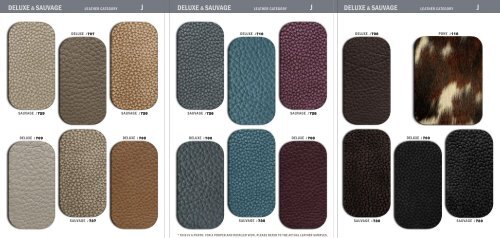 Leather Samples G2022