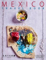 Mexico Travel Book Winter 2024