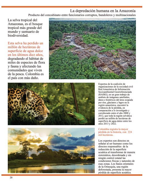 Revista Natural...Mente Animal