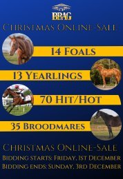 BBAG Christmas Online-Sale 2023 / 132 Pferde