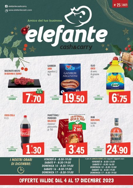 25 CASH Elefante_ALTA