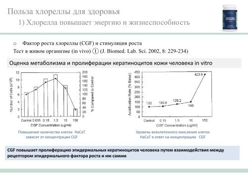 Chlorella - AGenYZ