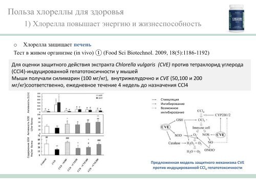 Chlorella - AGenYZ