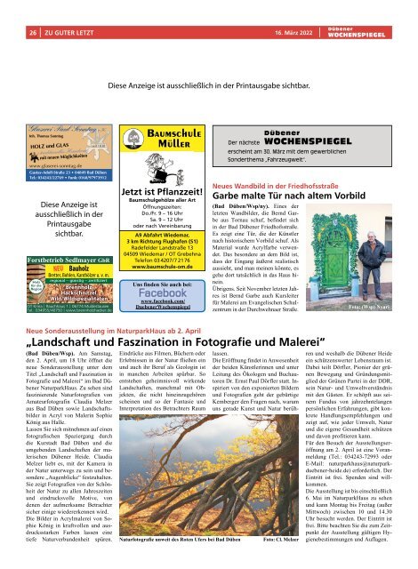 Dübener Wochenspiegel - Ausgabe 5 - Jahrgang 2022