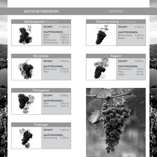 Riesling, Pinot Noir & Co. 2012 Katalog - Deutsches Weininstitut