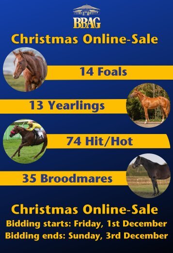 BBAG Christmas Online-Sale 2023 full catalogue