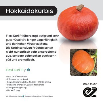 Leaflet Hokkaiodokürbis