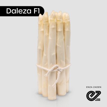Leaflet Daleza F1