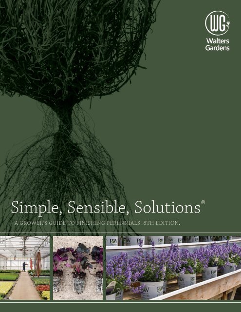 Simple Sensible Solutions